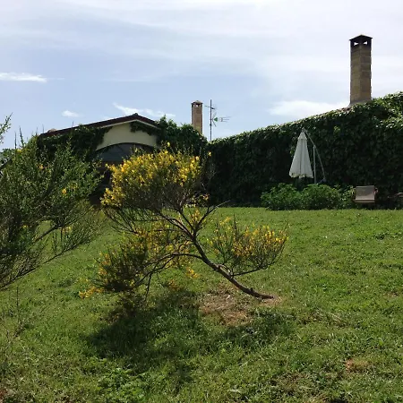 Carrera Della Regina-3